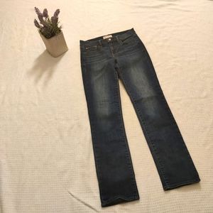 Gap 1969 27 Regular Straight Jeans